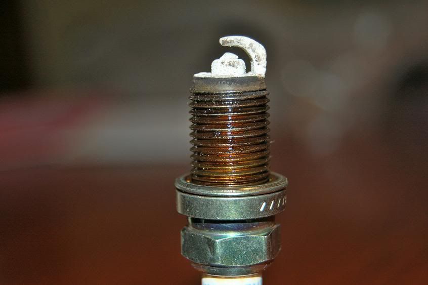 sparkplug.jpg