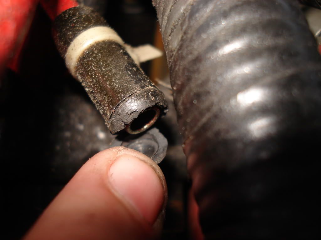 Photo Sharing and Video Hosting at Photobucket