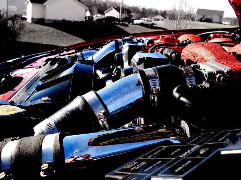 Photo Sharing and Video Hosting at Photobucket