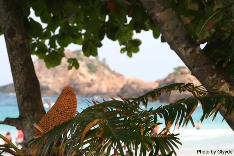 IMAGE: http://i5.photobucket.com/albums/y170/Glyyde/IMG_0391.jpg