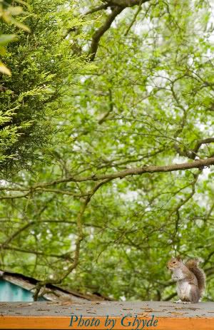 IMAGE: http://i5.photobucket.com/albums/y170/Glyyde/IMG_1767_2copy.jpg