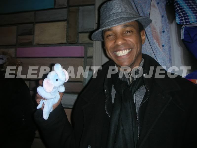 re: THE ELEPHANT PROJECT