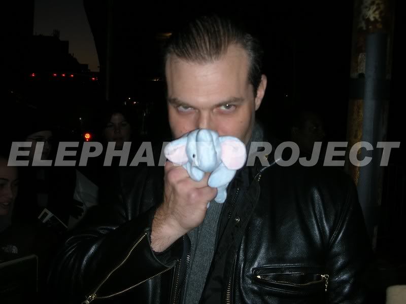 re: THE ELEPHANT PROJECT Auction Schedule