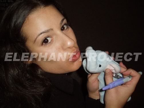 re: THE ELEPHANT PROJECT