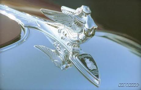 and you know what was cool hood ornaments