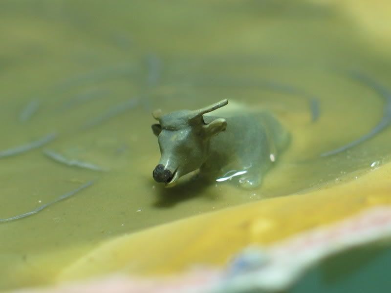 圖檔