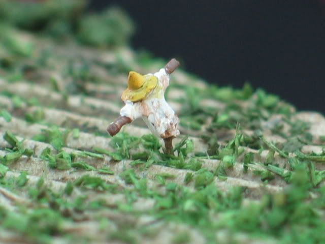 圖檔