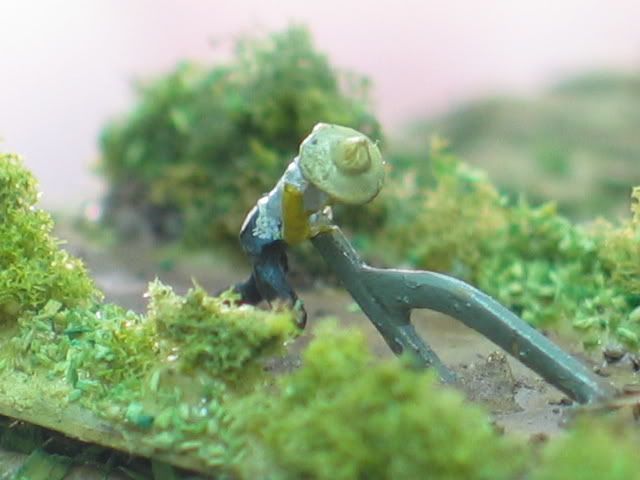 圖檔
