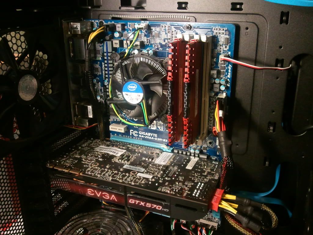 2011-12-13190823.jpg