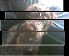 Image hosted by Photobucket.com