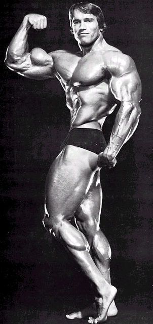 arnoldcalves3.jpg