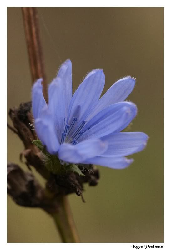 Fotografie