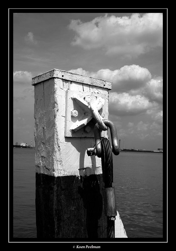Fotografie