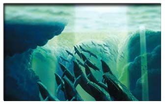 Image hosted by Photobucket.com