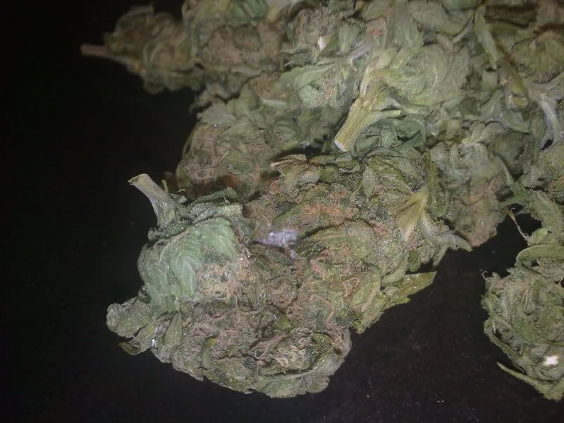 White Powder in weed