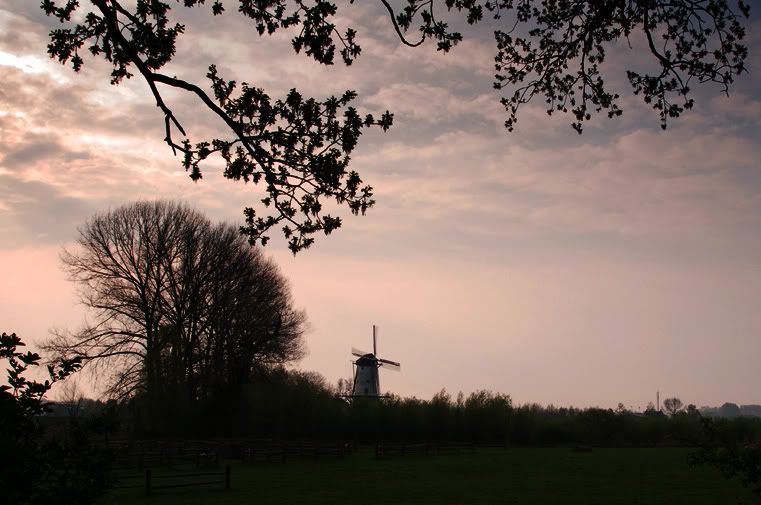 Fotografie