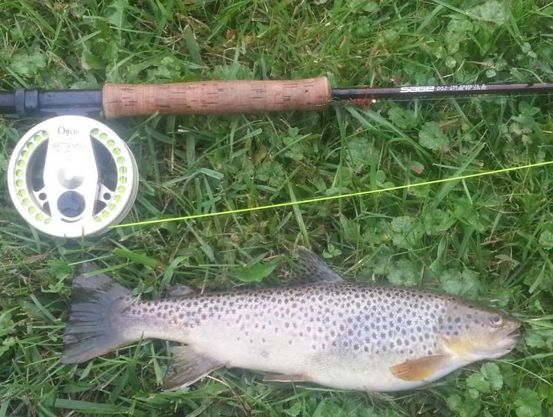Castalia Trout Fishing Lottery Ohio Waterfowler Forums