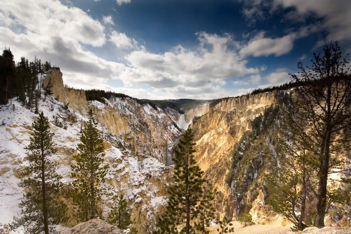 091010Yellowstone1.jpg