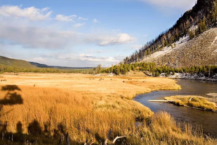 091010Yellowstone4.jpg