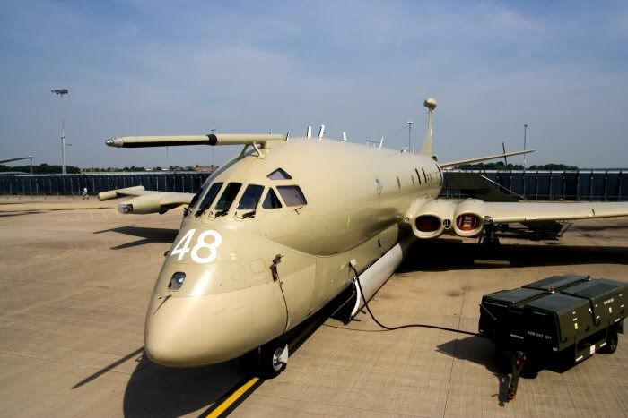 060701Nimrod1web.jpg