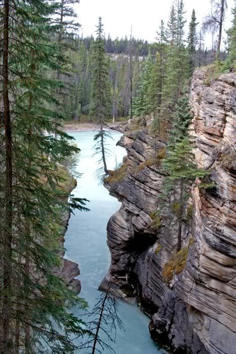 060914-Athabasca-Falls-3web.jpg