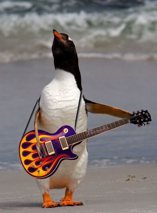 Penguins-rock-web.jpg