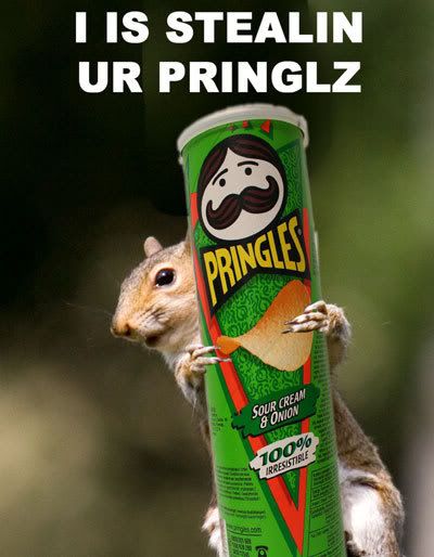 pringlz.jpg