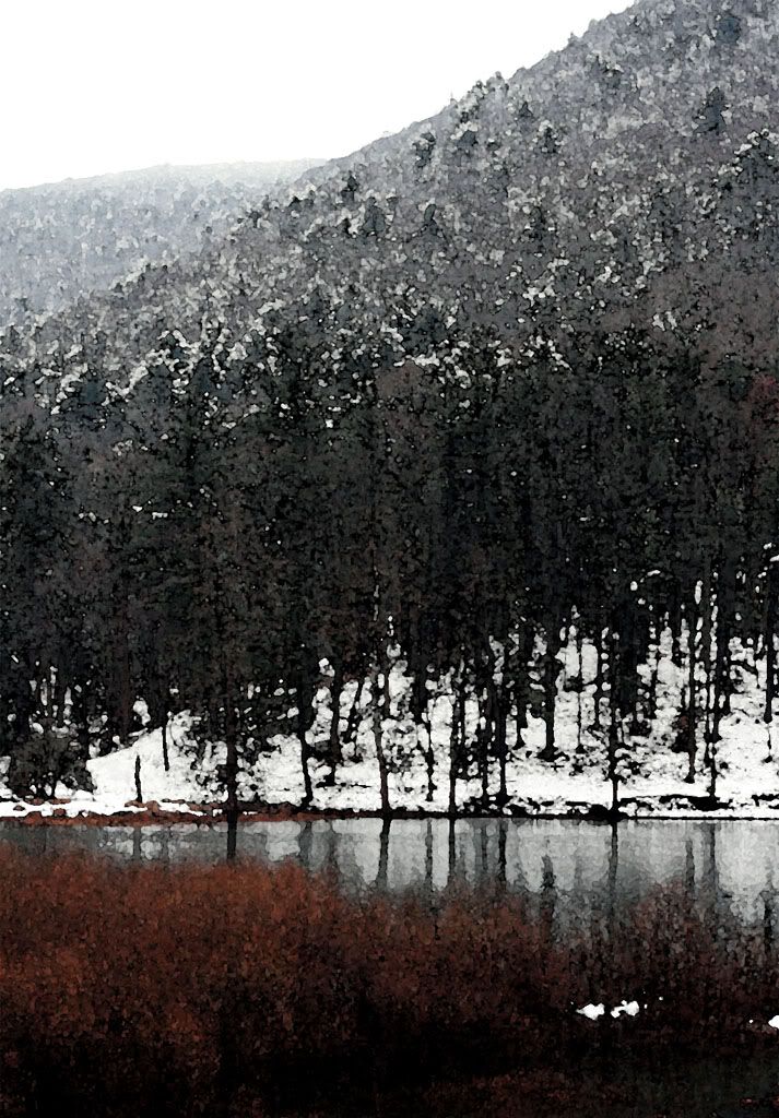 IMAGE: http://i5.photobucket.com/albums/y173/thesonofdarwin/IMG_5872_nosharp_nocropbottombush.jpg