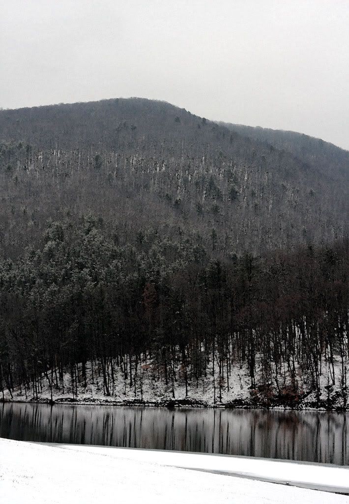 IMAGE: http://i5.photobucket.com/albums/y173/thesonofdarwin/IMG_5876.jpg