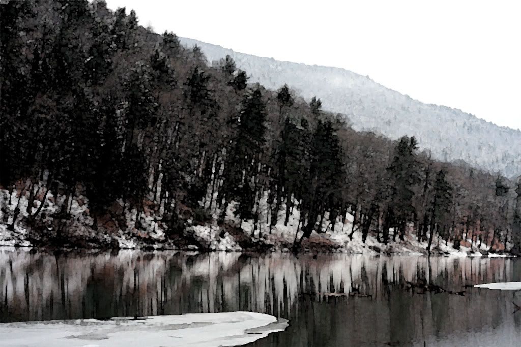 IMAGE: http://i5.photobucket.com/albums/y173/thesonofdarwin/IMG_5880.jpg