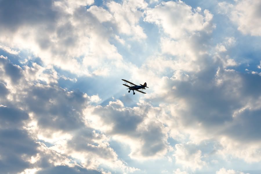 IMAGE: http://i5.photobucket.com/albums/y173/thesonofdarwin/IMG_9055_original.jpg