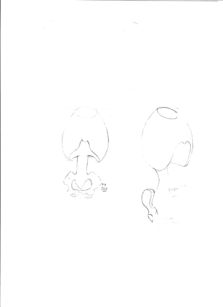 Stillworks Sketchbook - Crits needed! Updated Daily Stillworks Sketchbook - Crits needed! Updated Daily