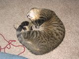 Ony015.jpg image by emithebug