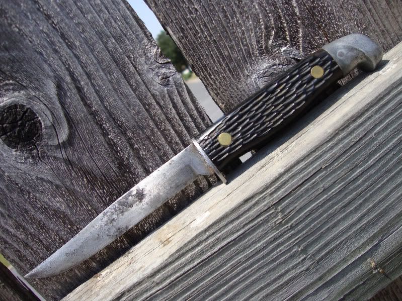 Anyone seen this knife before? Rimfire Central Firearm Forum