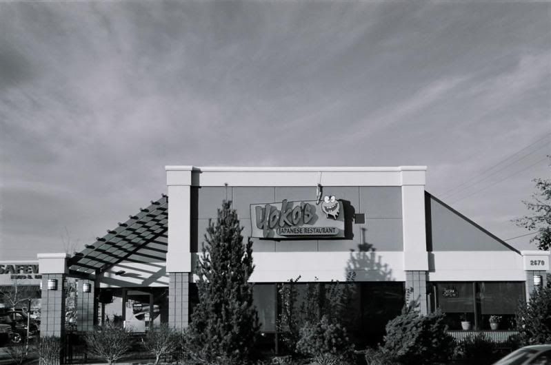 Yokoslarge.jpg