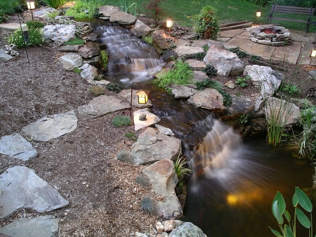 Unique Backyard Ideas