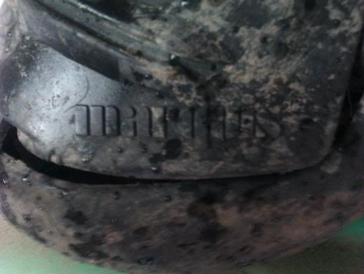 IMAG0245.jpg