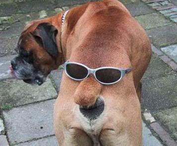 can the adults please smoke part 2