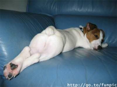 can the adults please smoke part 2