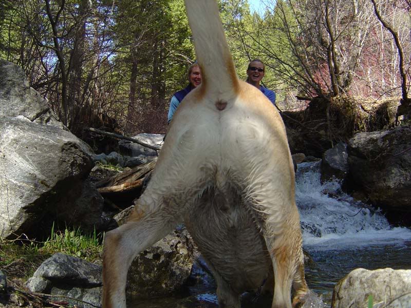 can the adults please smoke part 2