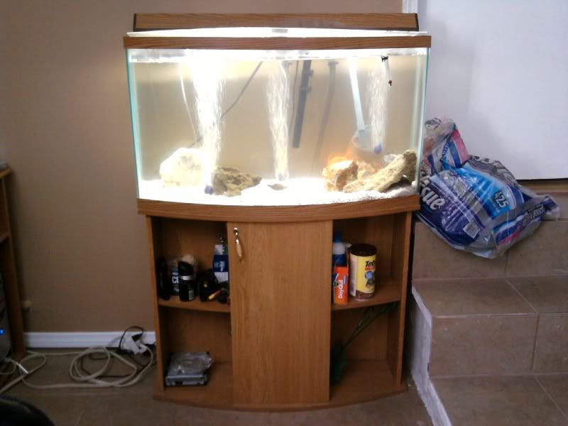fish tank sale