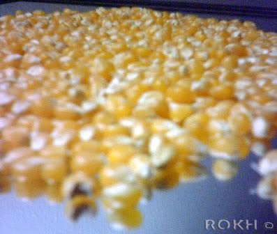 Maize to make Popcorns