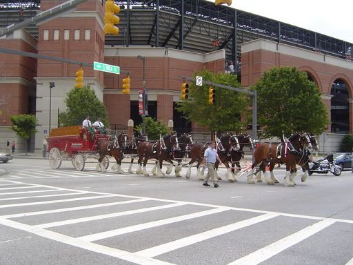 Preakness092.jpg