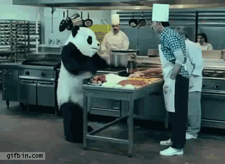 Panda Pounds Flour photo 1306319335_angry_panda_vs_chef.gif