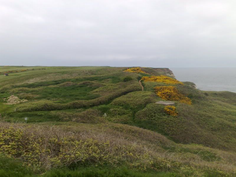 Trailcomingdownhillside.jpg