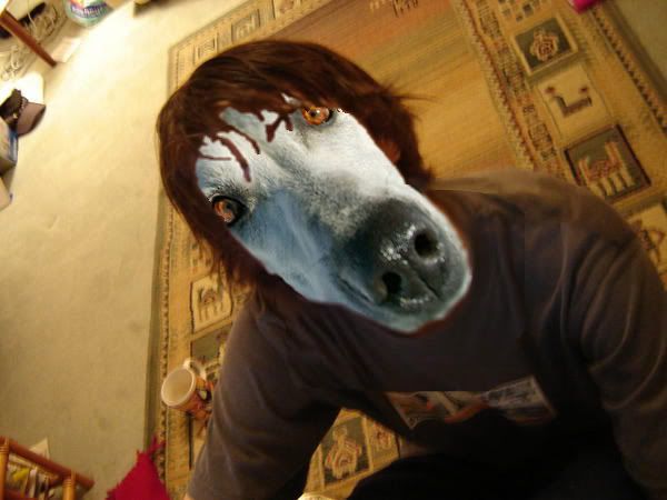 Photo Sharing and Video Hosting at Photobucket