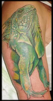 Iguana Tattoo