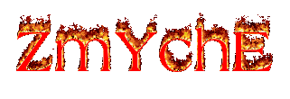 zmylogo.gif