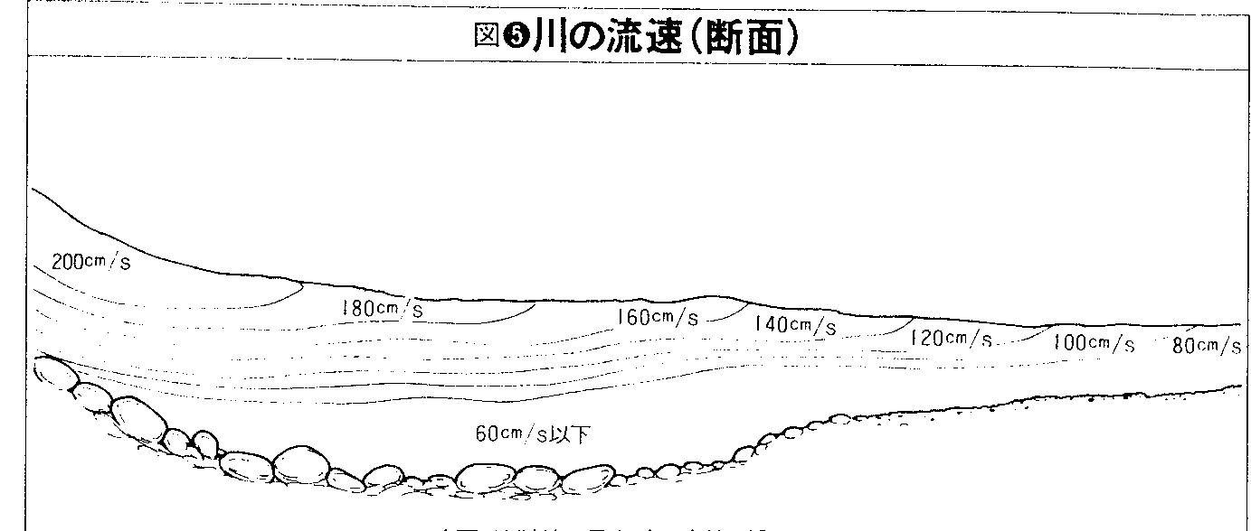 Example