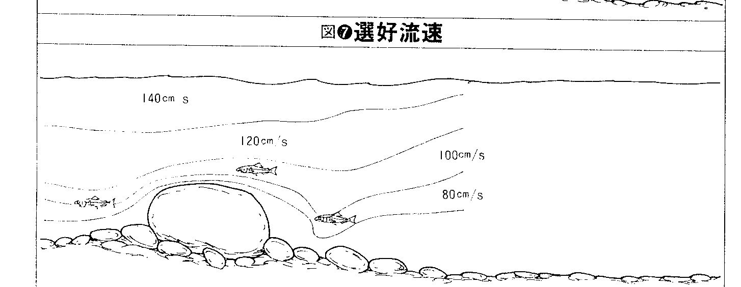 Example